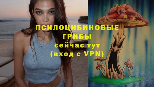 a pvp Алексеевка