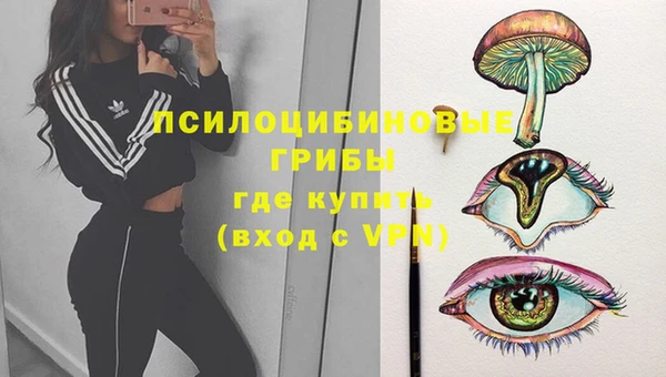 герыч Алзамай