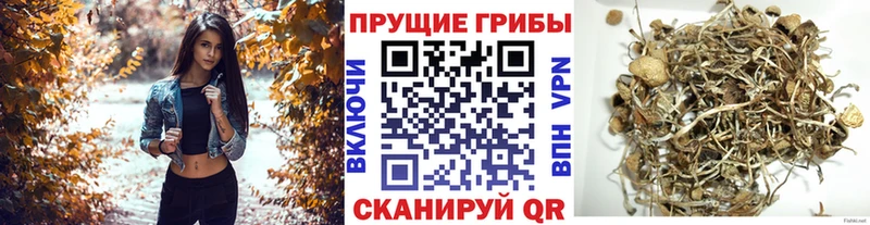 Галлюциногенные грибы GOLDEN TEACHER  mega как войти  Люберцы 